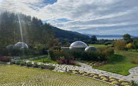 Luzada Glamping Burbujas - Designed For Adults